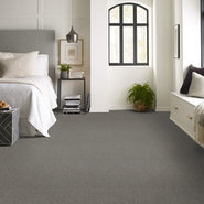 PROFUSION-54934-PLENITUDE-00500-room-image