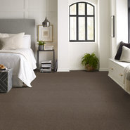 PROFUSION-54934-HEAPS-00700-room-image