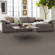 BEYOND-LIMITS-54936-PRAIRIE-00200-room-image