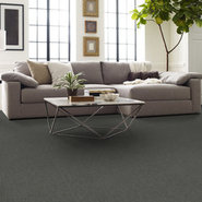 BEYOND-LIMITS-54936-FLORA-00300-room-image