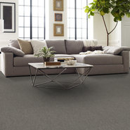 BEYOND-LIMITS-54936-TUNDRA-00500-room-image