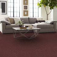 BEYOND-LIMITS-54936-REGION-00800-room-image