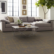 CURIOUS-WONDER-54940-DELIGHT-40200-room-image