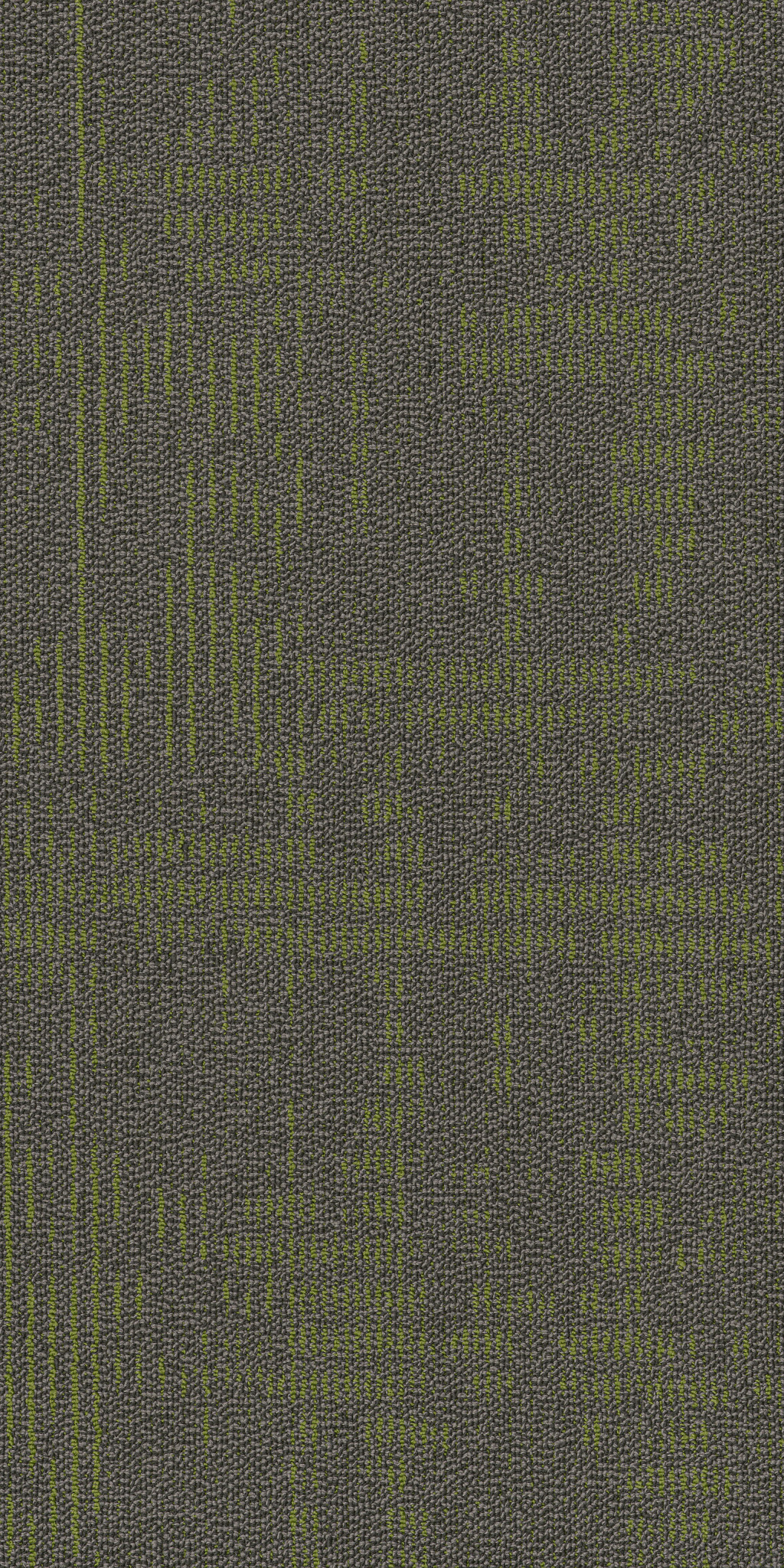 Curious Wonder - Amazement - 54940_40300