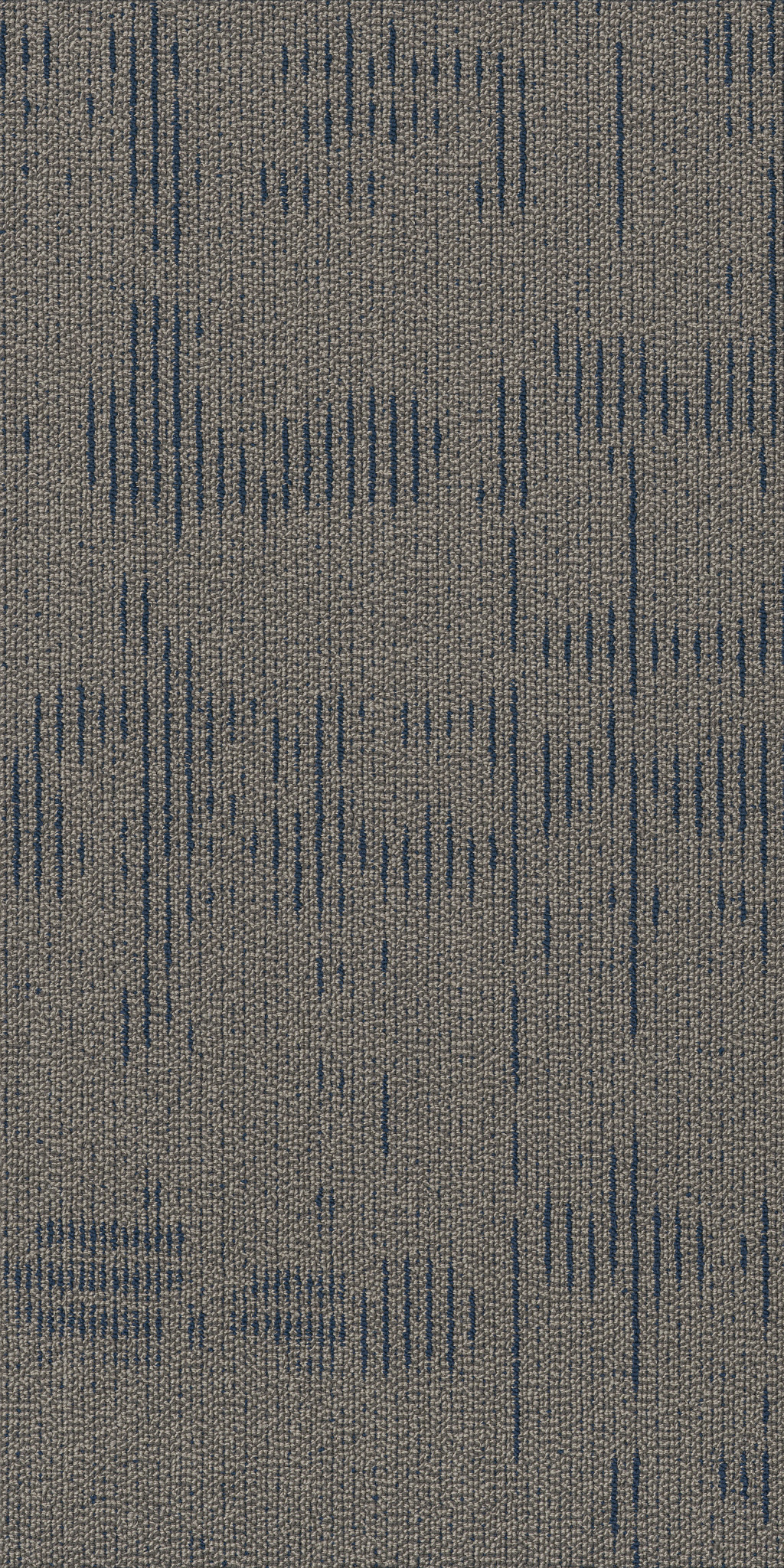 Curious Wonder-Wonderment-54940_40410