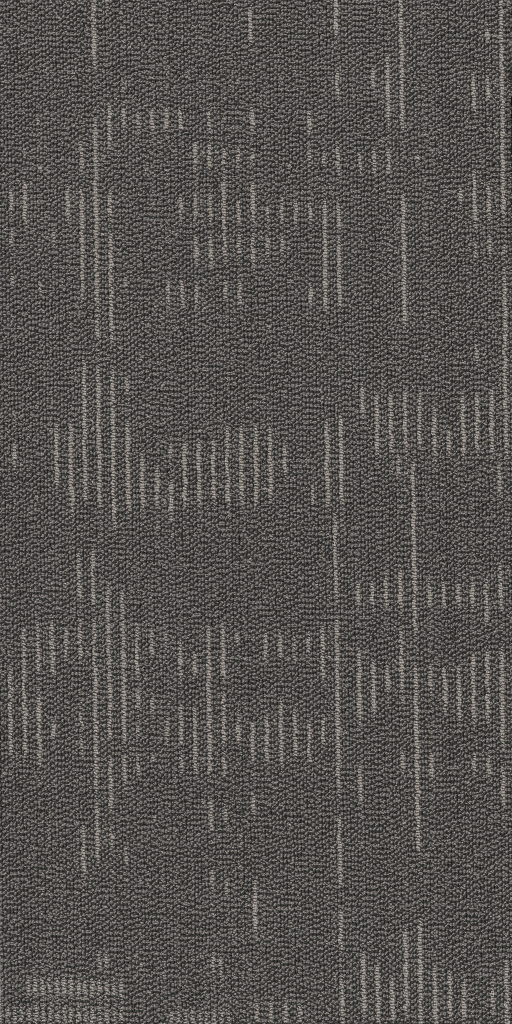 Curious Wonder-Collectibles-54940_40500