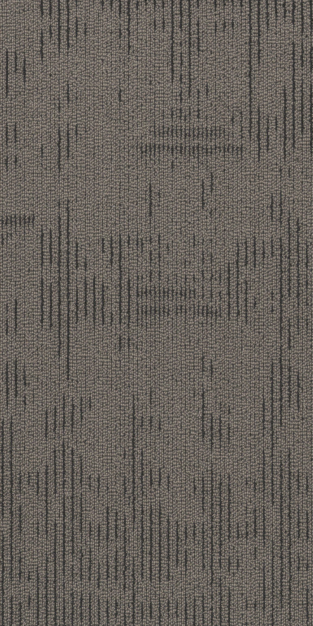 Curious Wonder-Inquisitive-54940_40510