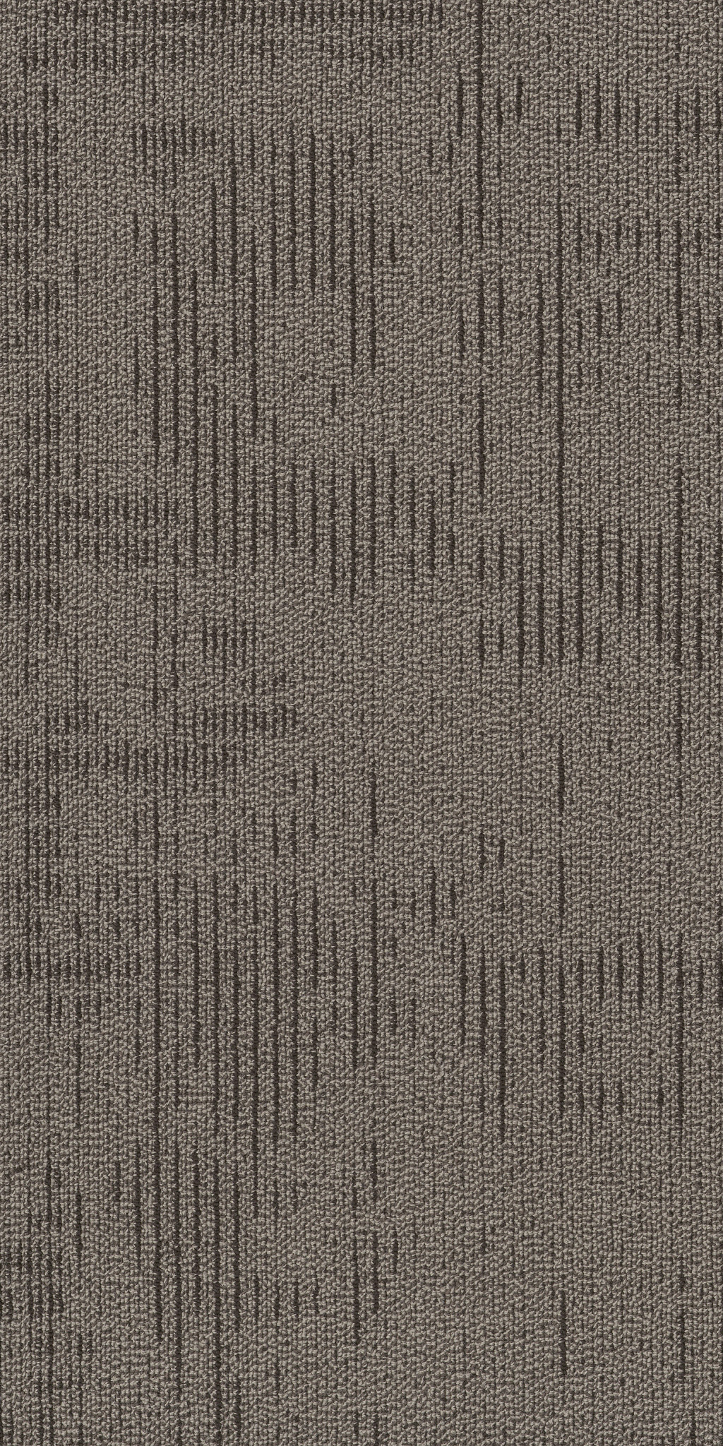 Curious Wonder-Astonishment-54940_40710