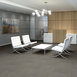 GLEAM-54941-TWINKLING-00200-room-image