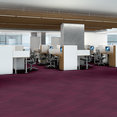 GLEAM-54941-VIBRANT-00910-room-image