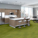 ILLUMINATE-54942-GLEAMING-00260-room-image