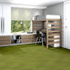 ILLUMINATE-54942-GLEAMING-00260-room-image