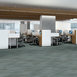 ILLUMINATE-54942-SHIMMERY-00300-room-image