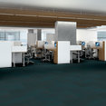 ILLUMINATE-54942-LUSTROUS-00310-room-image