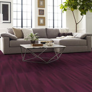ILLUMINATE-54942-VIBRANT-00910-room-image