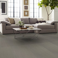 RADIATE-54943-TWINKLING-00200-room-image