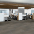 RADIATE-54943-BRILLIANT-00206-room-image