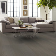 RADIATE-54943-BRILLIANT-00206-room-image
