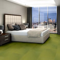 RADIATE-54943-GLEAMING-00260-room-image