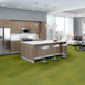 RADIATE-54943-GLEAMING-00260-room-image