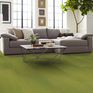 RADIATE-54943-GLEAMING-00260-room-image