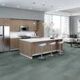 RADIATE-54943-SHIMMERY-00300-room-image
