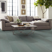 RADIATE-54943-SHIMMERY-00300-room-image