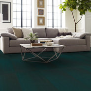 RADIATE-54943-LUSTROUS-00310-room-image