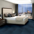 RADIATE-54943-BEAMING-00402-room-image