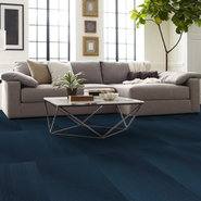 RADIATE-54943-BEAMING-00402-room-image