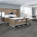 RADIATE-54943-DAZZLING-00504-room-image