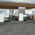 RADIATE-54943-DAZZLING-00504-room-image