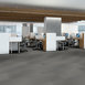 RADIATE-54943-DAZZLING-00504-room-image