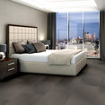 RADIATE-54943-STARRY-00704-room-image