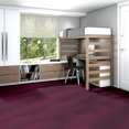 RADIATE-54943-VIBRANT-00910-room-image
