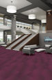 RADIATE-54943-VIBRANT-00910-room-image