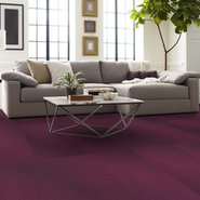 RADIATE-54943-VIBRANT-00910-room-image