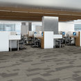 EXPRESSIONIST-54944-TRENDY-00100-room-image