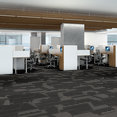 EXPRESSIONIST-54944-SOPHISTICATED-00505-room-image