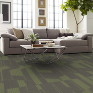 EXPRESSIONIST-54944-MODISH-00512-room-image