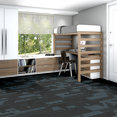 EXPRESSIONIST-54944-SWELL-00515-room-image