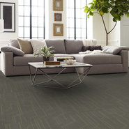 MODERNIST-54945-MODISH-00512-room-image