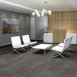 VISIBILITY-54953-REVEAL-00206-room-image