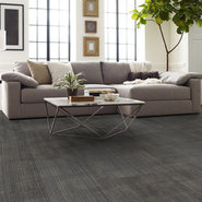 VISIBILITY-54953-REVEAL-00206-room-image