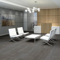 VISIBILITY-54953-PERCEPTION-00500-room-image