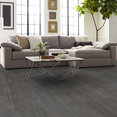 VISIBILITY-54953-PERCEPTION-00500-room-image