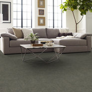 CONTENDER-54956-TRIUMPH-00300-room-image
