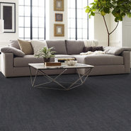 AUTHENTIC-54960-TRUE-00404-room-image