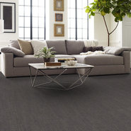 AUTHENTIC-54960-LEGAL-00505-room-image