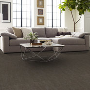 AUTHENTIC-54960-VALID-00704-room-image